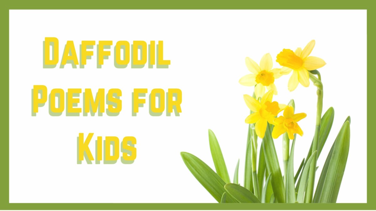 Daffodil Poems for Kids Tutor Your Child