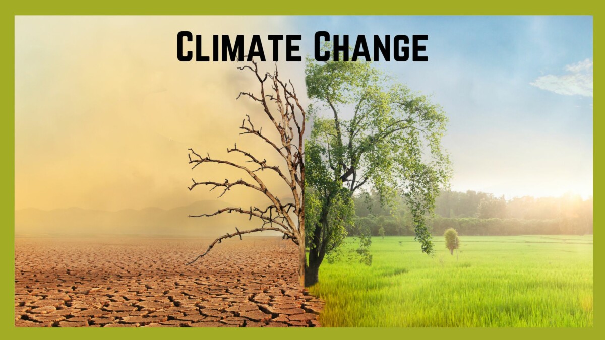 Climate Change: Causes and Effects